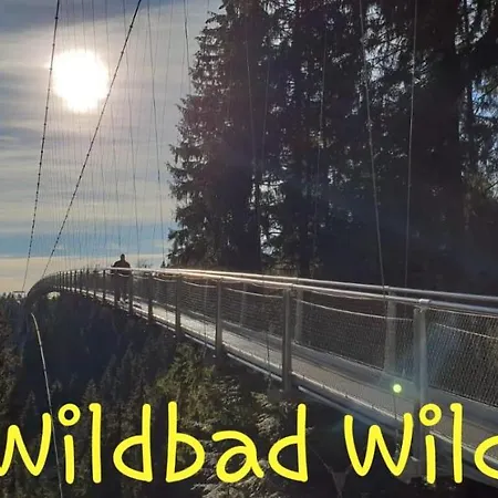 Am Waldrand *