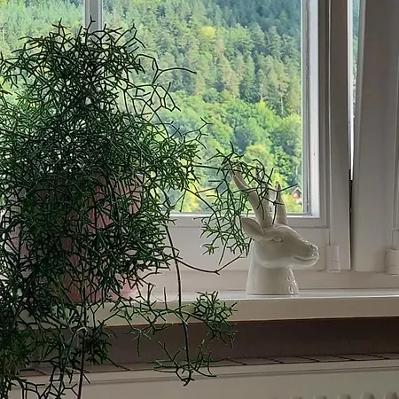 Apartamento Am Waldrand